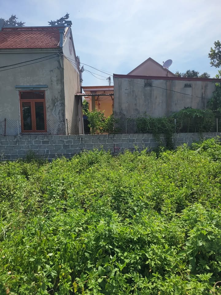 Đất ở Sổ đỏ chính chủ 56,2m² tại phường Nam Đồ Sơn - Cơ hội đầu tư tốt