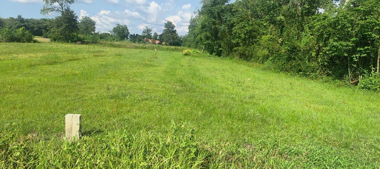 Đất nền Lộc Hưng Trảng Bàng 5609m² giá chỉ 690 triệu - Đường ô tô vào tận nơi!