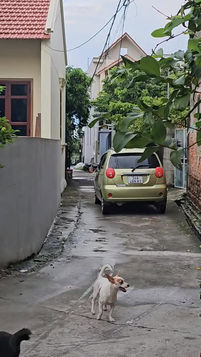 Đất nền Vĩnh Hồng, Bình Giang 82m² giá chỉ 8xx triệu - Sổ đỏ chính chủ!