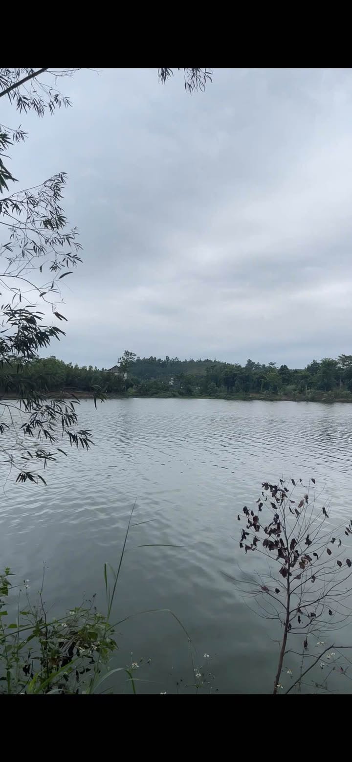 Đất nghỉ dưỡng 10.000m² tại Sao Đỏ, Chí Linh - Cơ hội đầu tư giá tốt!