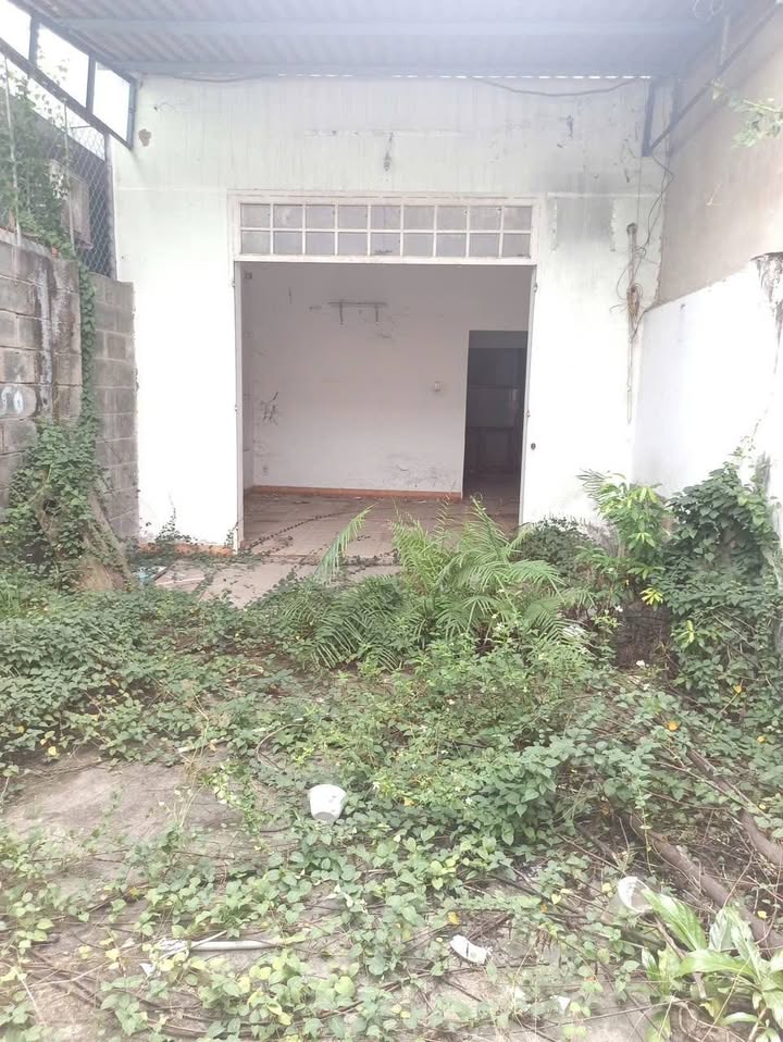 Đất hẻm xe tải đường Số 8 Linh Xuân Thủ Đức 116m² giá 6.3 tỷ - Cơ hội đầu tư tuyệt vời!