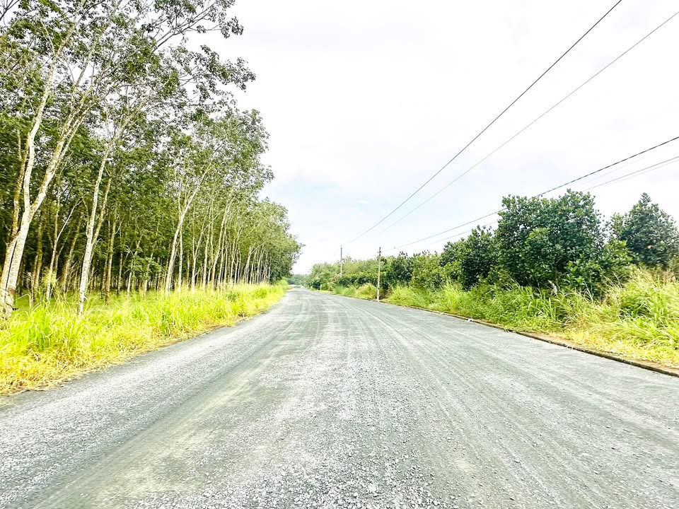 Đất nền liền kề mặt tiền đường Số 10, Phường Minh Hưng 250m² chỉ 680 triệu - Đầu tư sinh lời ngay!