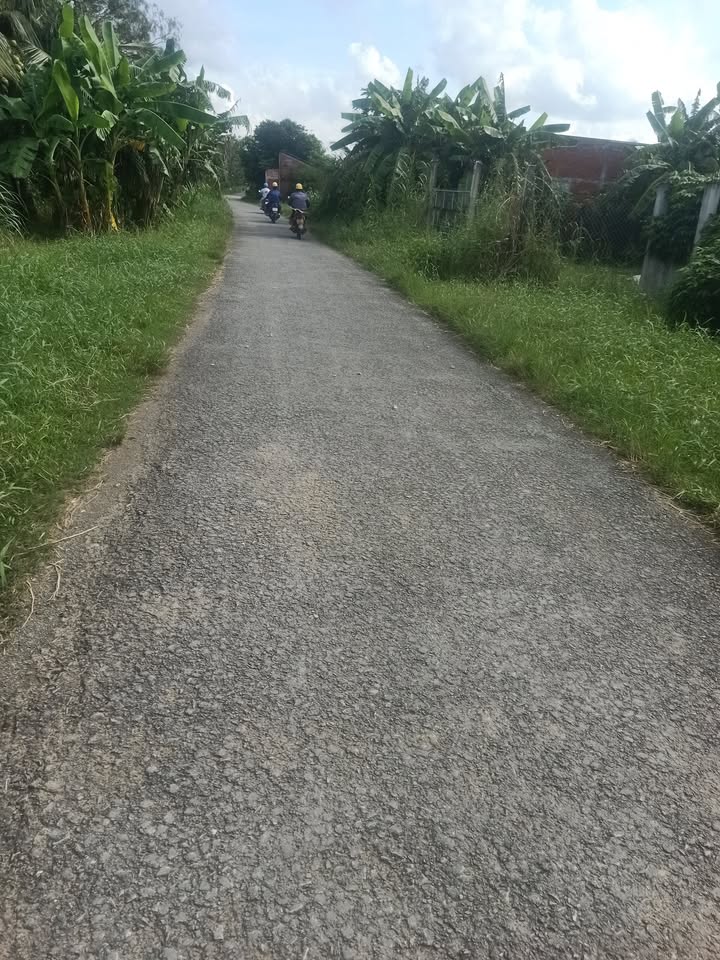 Đất ruộng tại xã Mỹ Nhơn, Ba Tri, Bến Tre 4000m² giá 1.08 tỷ - Đầu tư sinh lời ngay!