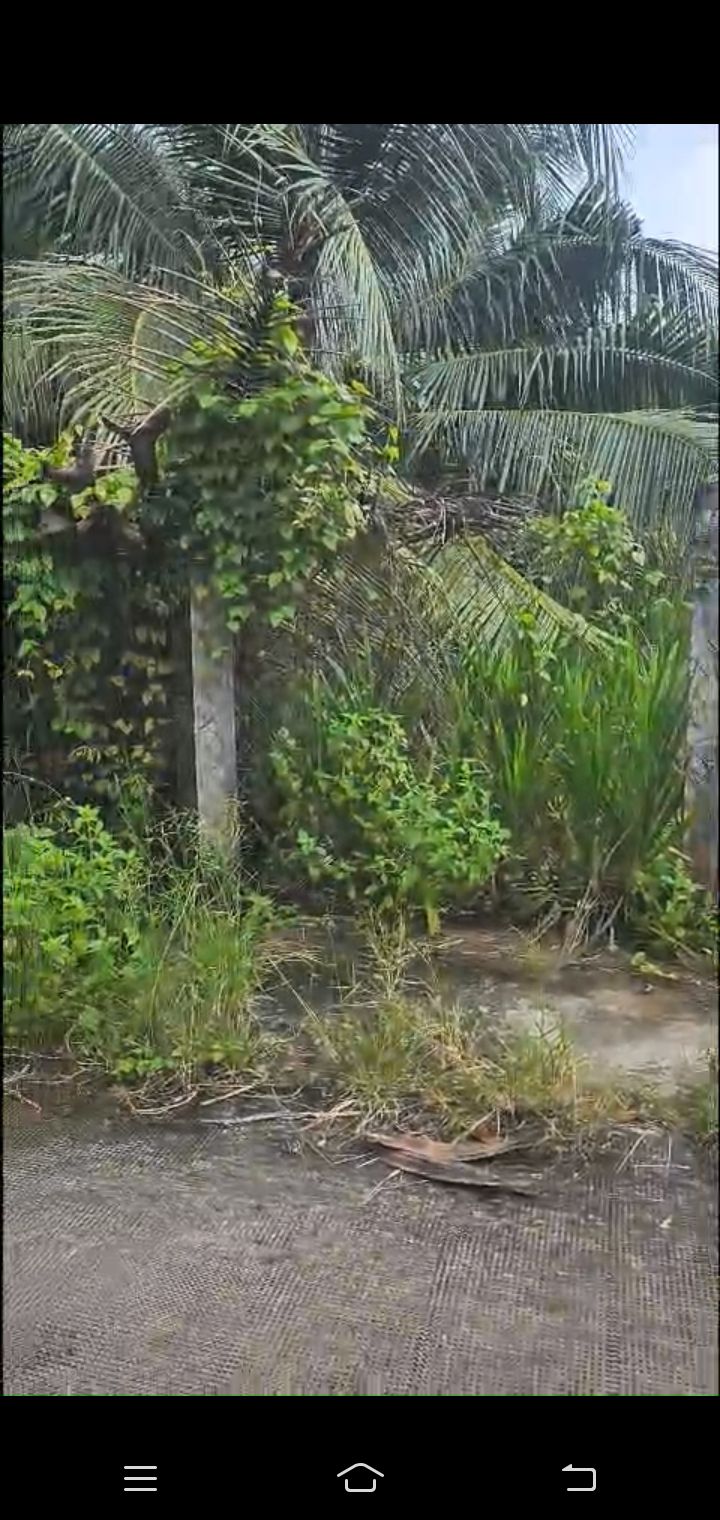 Đất nền An Hội, Châu Thành, Bến Tre 180m² giá 850 triệu - Đầu tư sinh lời ngay!