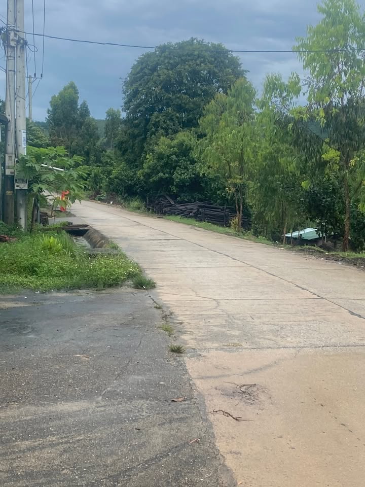 Đất nền thôn 5 Đăk Rve Kon Rẫy 3300m² giá 3 tỷ - Tiềm năng đầu tư lớn!