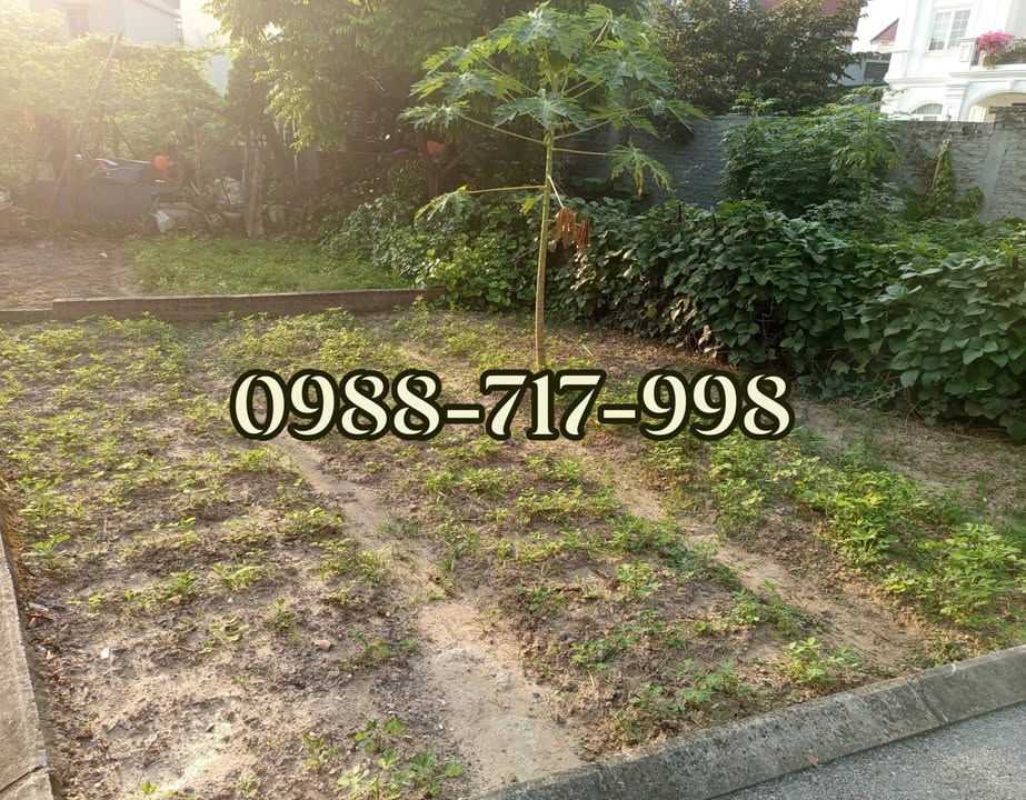 Đất thổ cư Đa Tốn, Gia Lâm 63m² giá 3 tỷ - Vị trí cực hiếm, ô tô vào tận nhà!