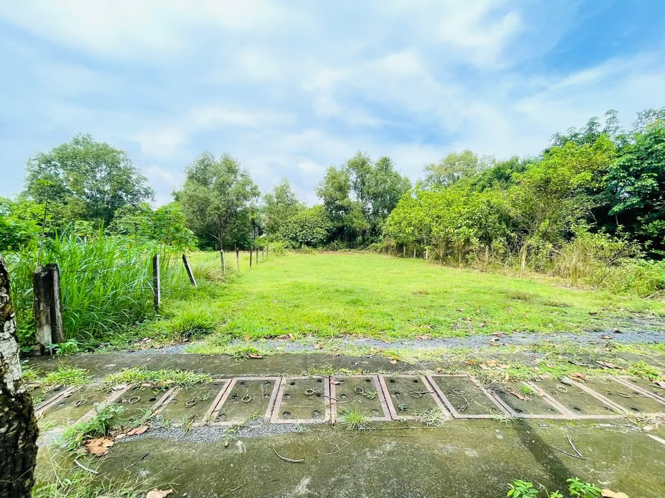 Đất thổ cư 500m² đường Phạm Thị Liền, Củ Chi - Giá chỉ 3 tỷ, xây dựng tự do!