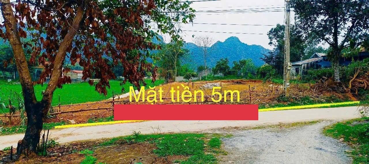 Đất thổ cư xã Phú Thành, Lạc Thủy 115m² chỉ 700 triệu - Kinh doanh sầm uất!