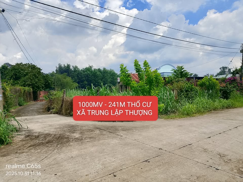 Đất nền 2 mặt tiền đường bê-tông tại xã Trung Lập Thượng, Củ Chi 1000m² - Đầu tư sinh lời ngay!
