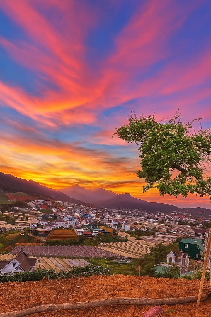 Đất nền 3000m² tại Langbiang, Lạc Dương - View panorama tuyệt đẹp!