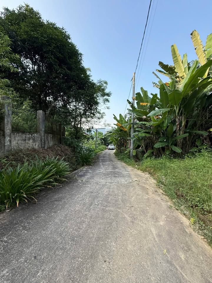 Đất thổ cư chính chủ tại ngõ đường 20/8, TP Hà Giang 100m² - Cơ hội đầu tư hiếm có!