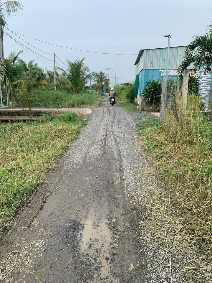 Đất thổ cư 1000m² view sông tại Long Cang chỉ 4.2 tỷ - Đầu tư sinh lời!