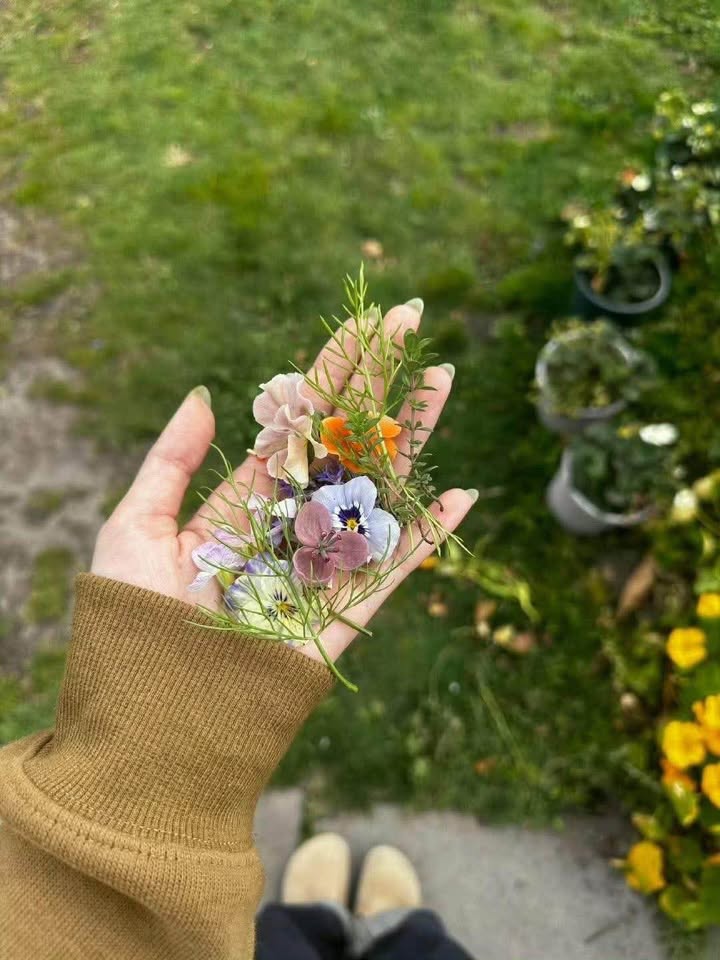 Đất thổ cư 1854m² tại Phong Phú, Tân Lạc - Giá chỉ 600 triệu, pháp lý chuẩn!