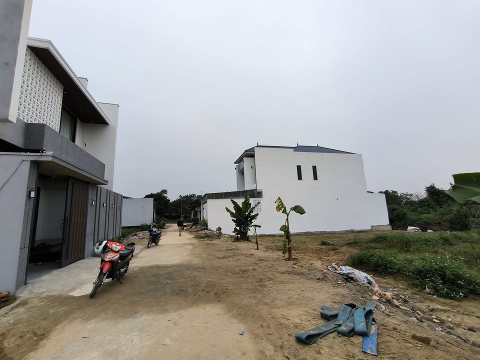 Đất đấu giá Xuân An 166m² - Pháp lý rõ ràng, xây dựng tự do!