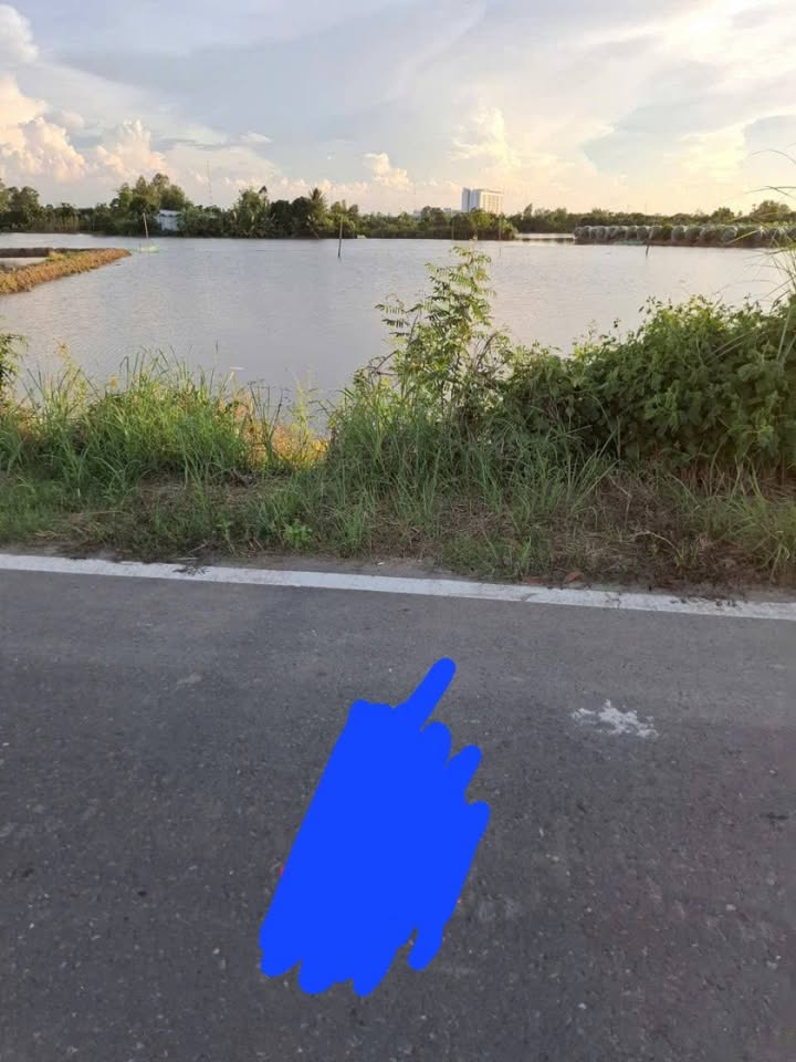 Đất Lúa 2377m² Đường Tránh QL30 - Mỹ Trà - Giá 2.79 tỷ, Đầu Tư Sinh Lời!