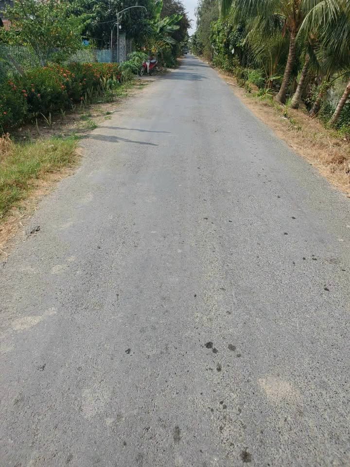 Đất nền mặt tiền đường nhựa 6m tại Xã Bình Thành, 564m² chỉ 1 tỷ - Cơ hội đầu tư hấp dẫn!