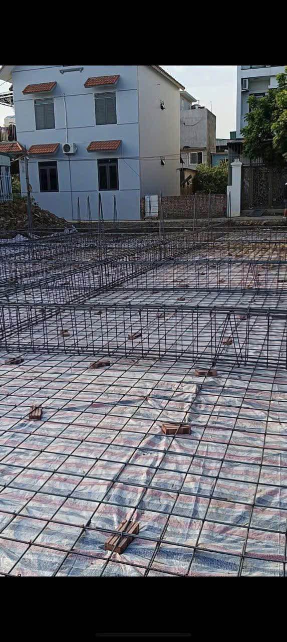 Bán dãy nhà phố 6 căn tại Đông Hải, Hải Phòng - Diện tích 50m², chỉ từ 2.65 tỷ!