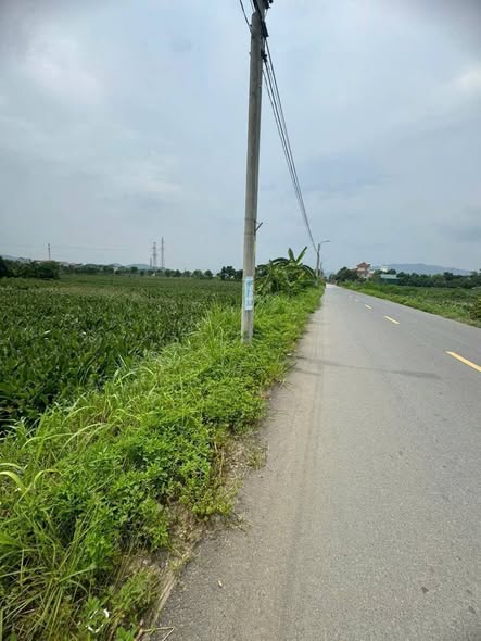 Đất thổ cư tại Minh Quang, Ba Vì 1004m² chỉ 1 tỷ - Đầu tư sinh lời tuyệt vời!