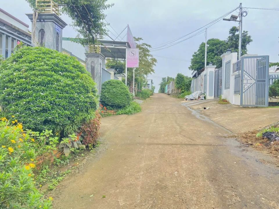 Đất nền Hẻm Lê Phụng Hiểu Bảo Lộc 270m² giá 2 tỷ - Đầu tư lý tưởng!