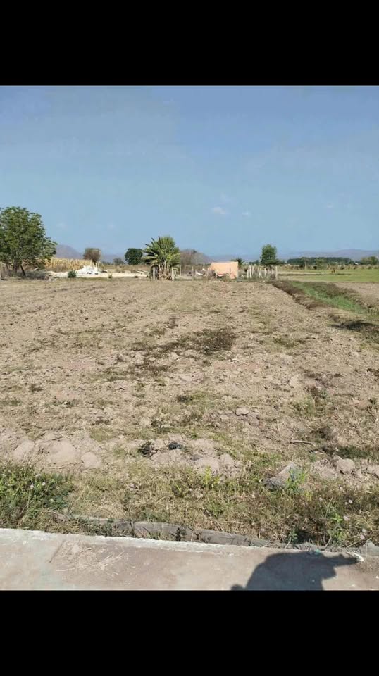 Đất Farm 3600m² xã Thuận Hoà, Hàm Thuận Bắc - Giá chỉ 250 triệu VND!