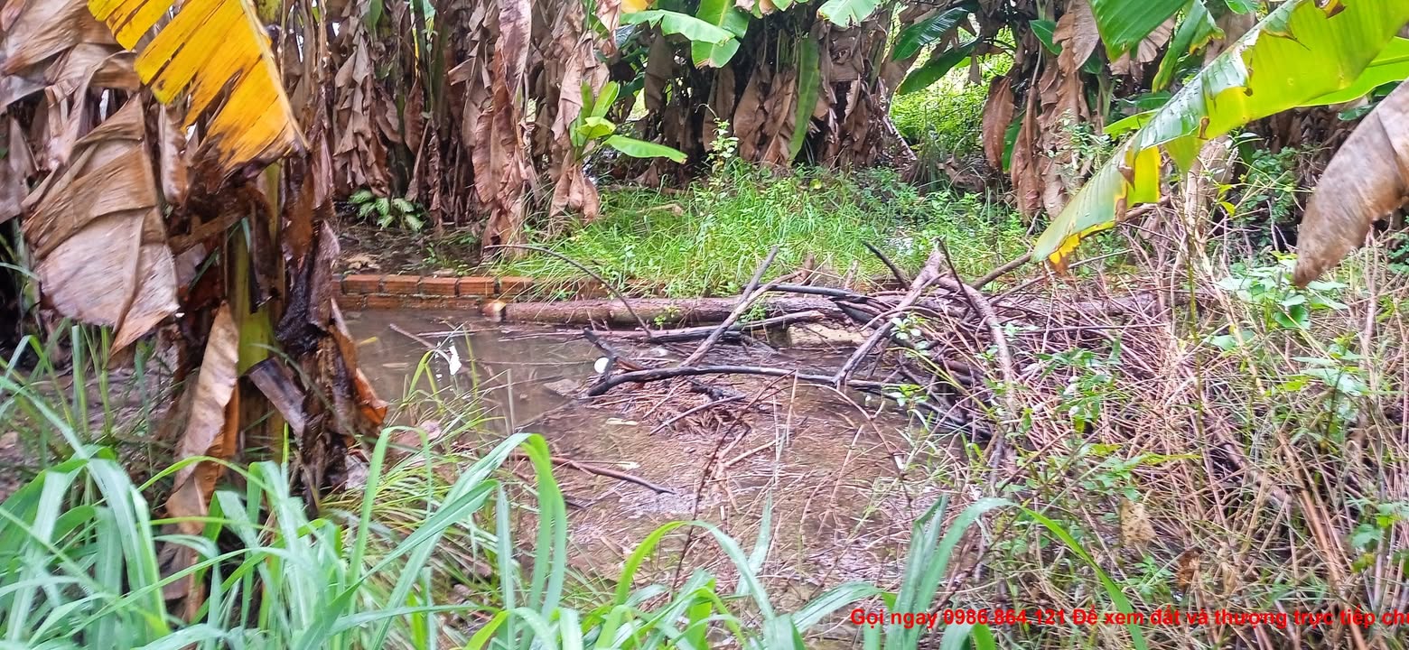 Đất nền Cẩm Châu Hội An 57,5m² chỉ 1,87 tỷ - Sổ đỏ chính chủ, ô tô tận nơi!