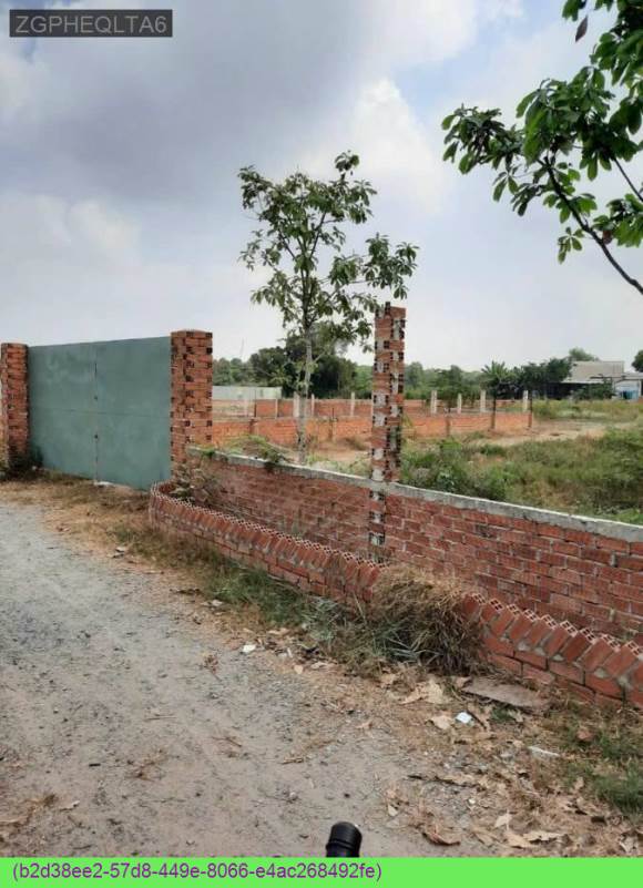 Đất nền Tân Vĩnh Lộc, Bình Chánh 1000m² giá 13.5 tỷ - Cơ hội đầu tư hiếm có!