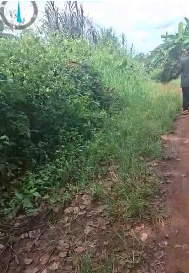 Đất nền 1ha tại xã Ea Nam, huyện Ea H'leo - Chỉ 1 tỷ, cơ hội đầu tư không thể bỏ qua!