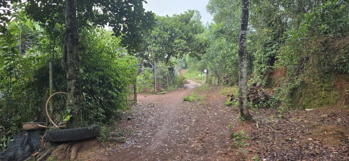 Đất nền Vĩnh An 500m² giá 490 triệu - Đầu tư sinh lời ngay!