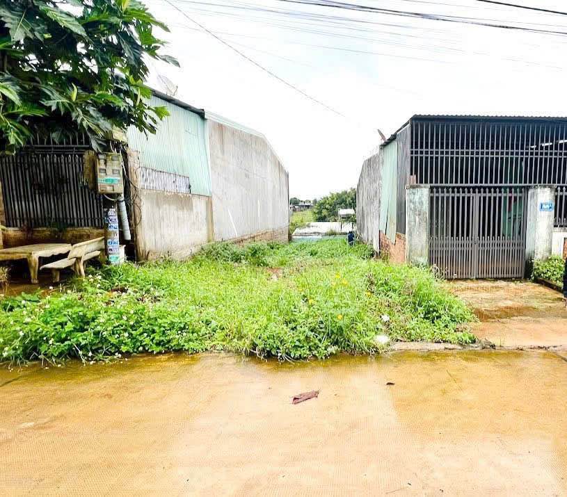 Đất thổ cư 150m² tại Thắng Lợi, Pleiku - Hướng Nam, giá chỉ 800 triệu!