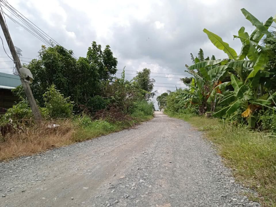 Đất nền Hòa Khánh Nam, Đức Hòa, Long An 1270m² giá 1.05 tỷ - Cơ hội đầu tư hấp dẫn!