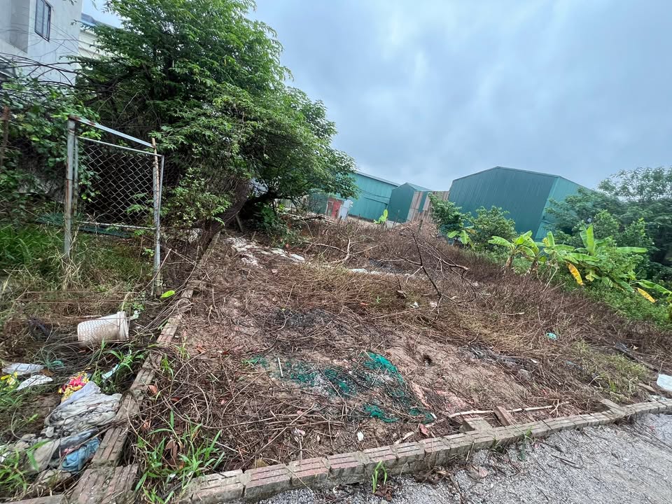 Đất thổ cư thôn Mỹ, Cự Khê 50m² giá chỉ 7x triệu - Cơ hội sở hữu đất hiếm có!