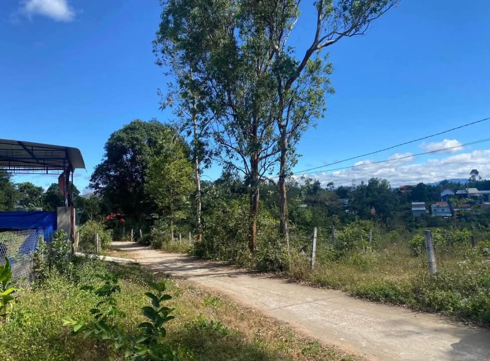 Đất nền xã Dak Rowa, TP. Kon Tum 800m² giá chỉ từ 500 triệu - Tiềm năng đầu tư lớn!