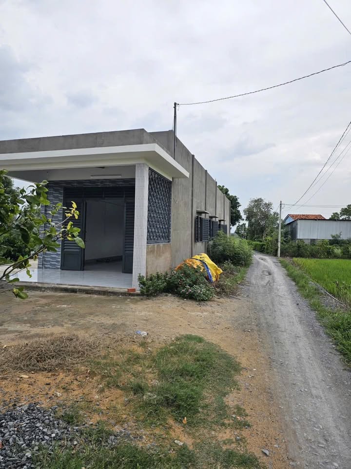 Đất thổ cư Hưng Long, Bình Chánh 842m² giá 6.9 tỷ - Tiềm năng đầu tư lớn!