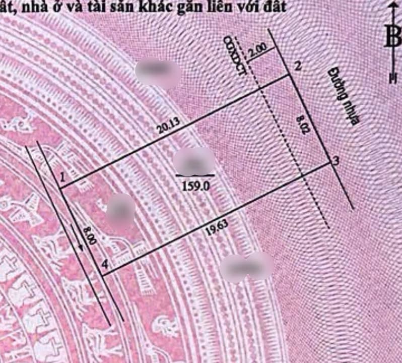 Đất đấu giá Trung Thành Hưng Đông 159m² giá 5 tỷ - Vị trí đẹp ngay sau chợ!