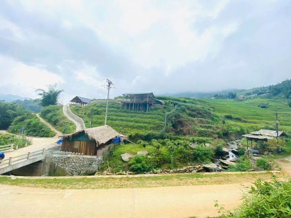 Đất du lịch Tả Phìn Sa Pa 1,775m² giá 4 tỷ - View ruộng lúa tuyệt đẹp!