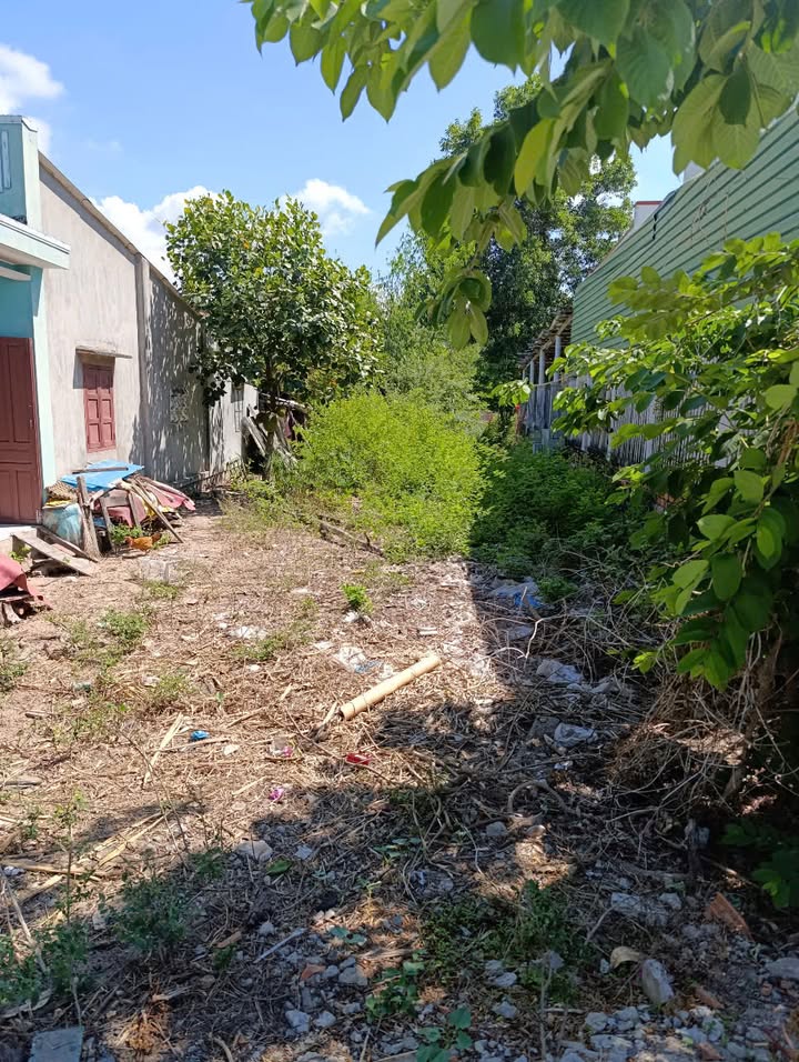 Lô đất Tân Lý 1, La Gi 255m² giá 1 tỷ - Sổ hồng chính chủ, đầu tư sinh lời!