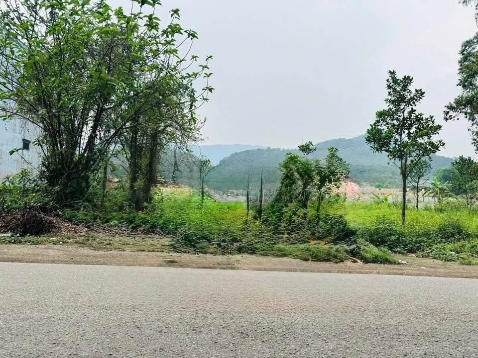 Bán đất 132m² Quốc lộ 35 - Thanh Hà, Sóc Sơn - Vị trí kinh doanh đắc địa!