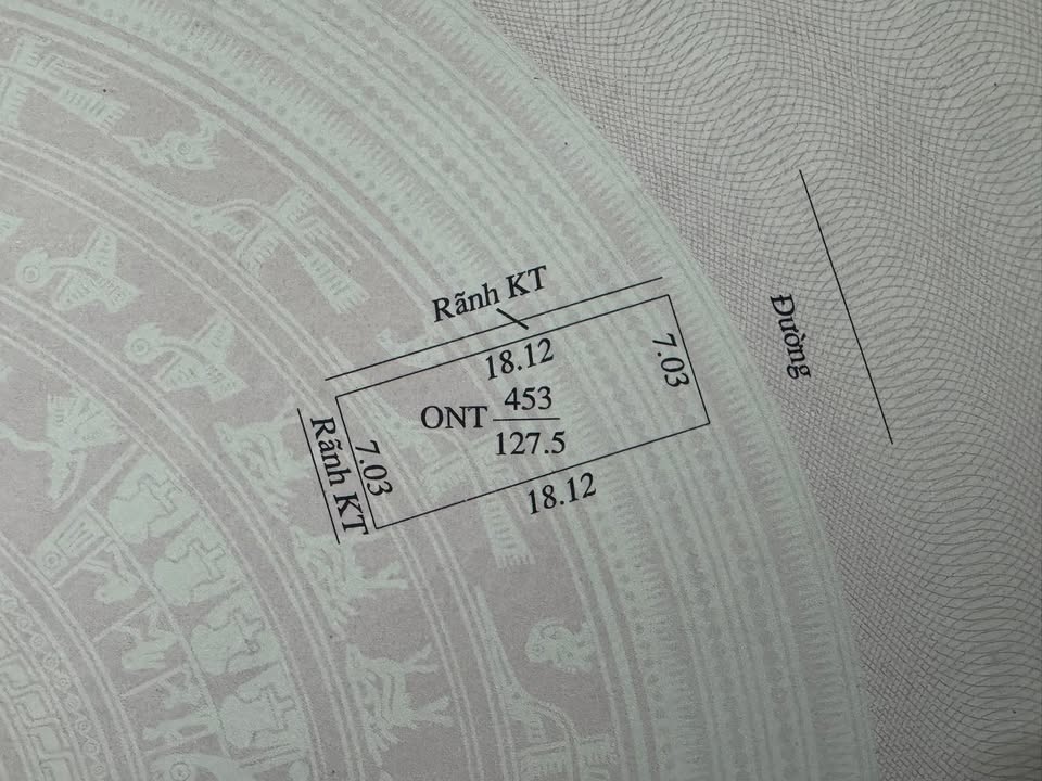 Đất nền Cẩm Điền 127,5m² giá 3Xxx tỷ - Đầu tư sinh lời ngay!