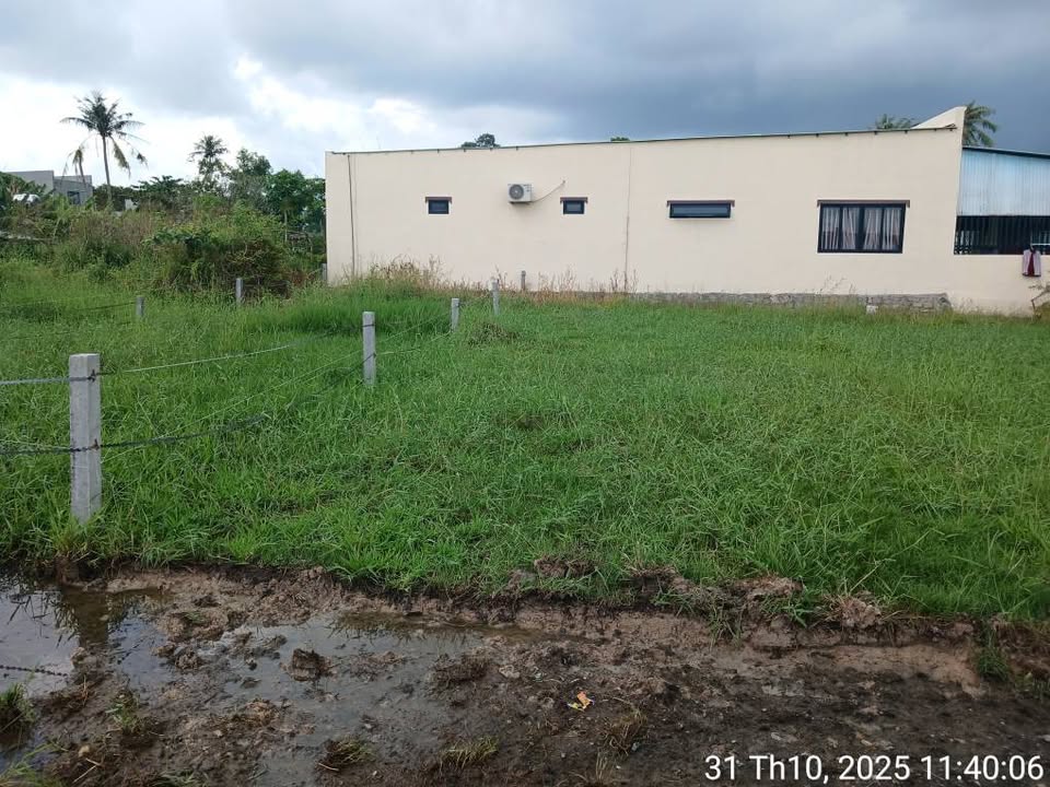 Đất nền Tam Phước 120m² giá 1.3 tỷ - Đầu tư sinh lời ngay!