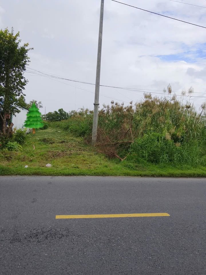 Đất nền mặt tiền Quốc lộ 1A, xã Hưng Mỹ, Cà Mau 546m² giá 900 triệu - Đầu tư sinh lời ngay!