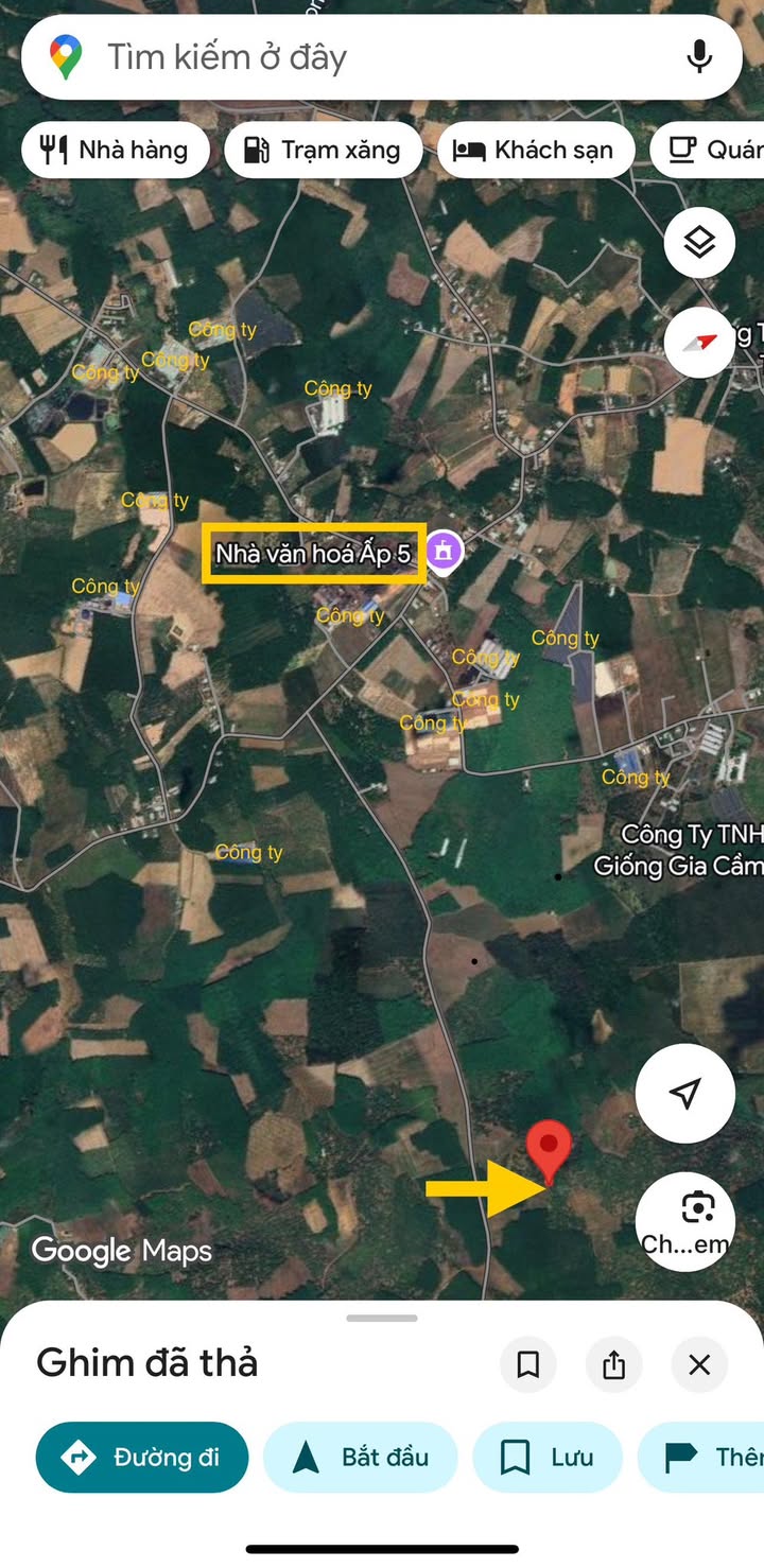 Đất nền Tân Hưng, Đồng Phú 960m² giá chỉ 200 triệu - Cơ hội đầu tư tuyệt vời!