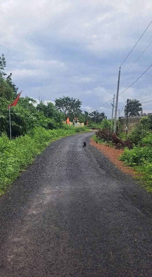 Đất nền khu phố 5, xã Thanh Hòa, huyện Bù Đốp 600m² giá 350 triệu - Sổ đỏ chính chủ!