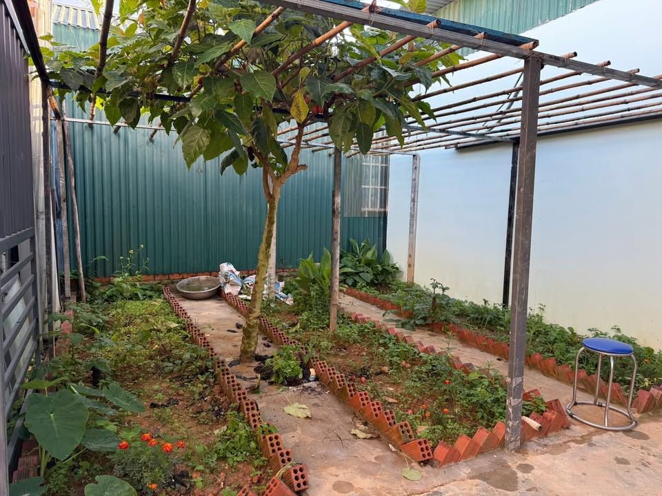 Nhà cho thuê đường Nguyên Tử Lực, Đà Lạt 3 triệu - Không chung chủ, sân rộng thoáng đãng!