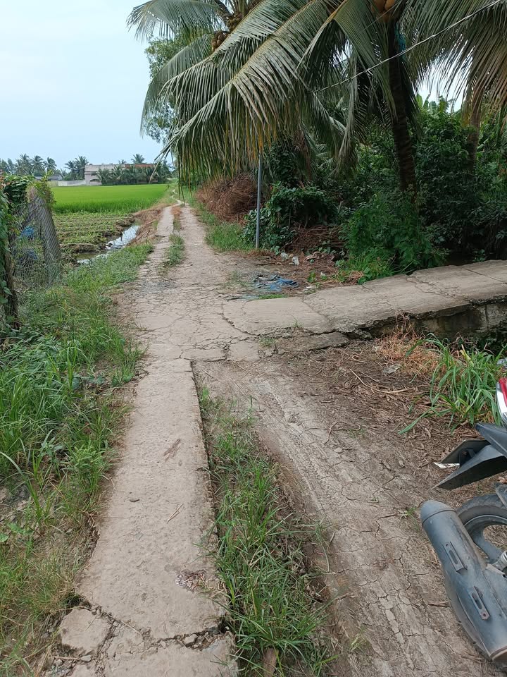 Đất nền Tân Lý Đông Châu Thành Tiền Giang 2500m² giá chỉ 875 triệu - Đầu tư sinh lời ngay!