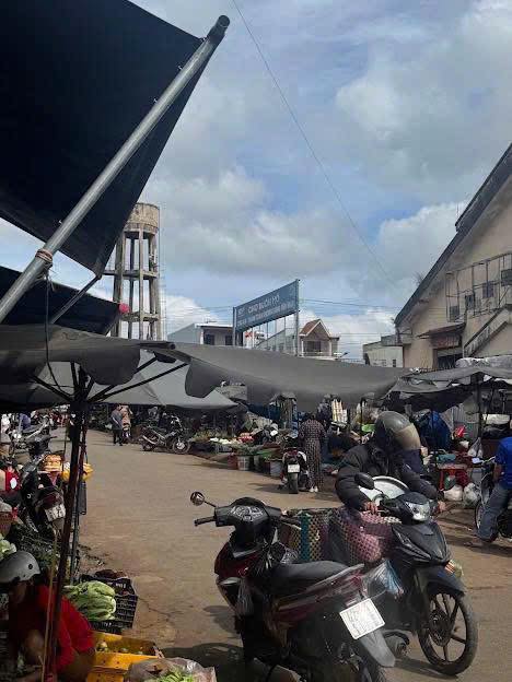 Đất nền chính chủ bán gấp tại Nguyễn An Ninh, Buôn Hồ - Giá chỉ 1.3 tỷ