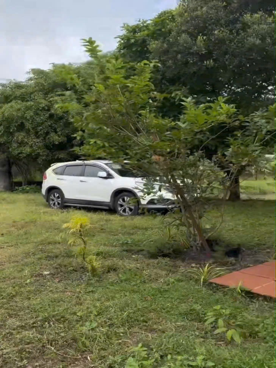 Đất nền 1ha SHR hẻm xe hơi Trung Lập Hạ Củ Chi 9779m² giá 24.5 tỷ - Tiềm năng đầu tư tốt!