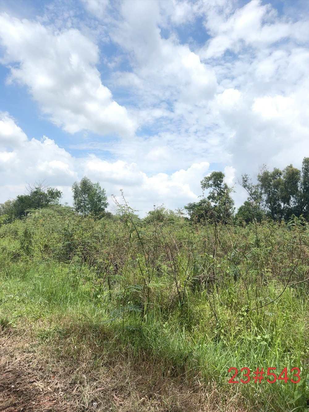 Đất nền 1001m² đường Long Phước, giá 18.5 tỷ - Đầu tư sinh lời ngay!