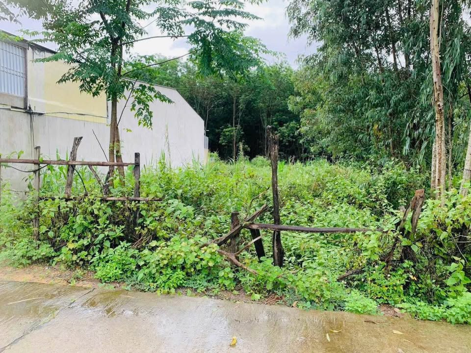 Đất nền hẻm 176 Đăk Cấm 136.5m² giá 600 triệu - Vị trí đắc địa gần trung tâm!