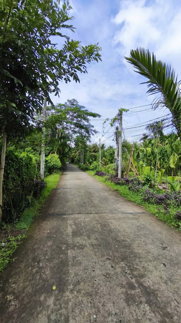 Đất mặt tiền Tân Hào Giồng Trôm 3300m² giá 3.3 tỷ - Cơ hội đầu tư tuyệt vời!