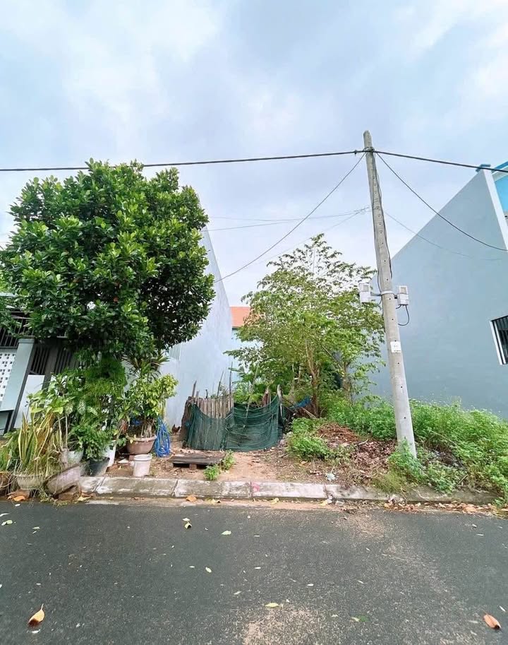 Lô đất 100m² mặt tiền Bá Tùng, Hòa Hải - Đầu tư sinh lời chỉ 4.05 tỷ!